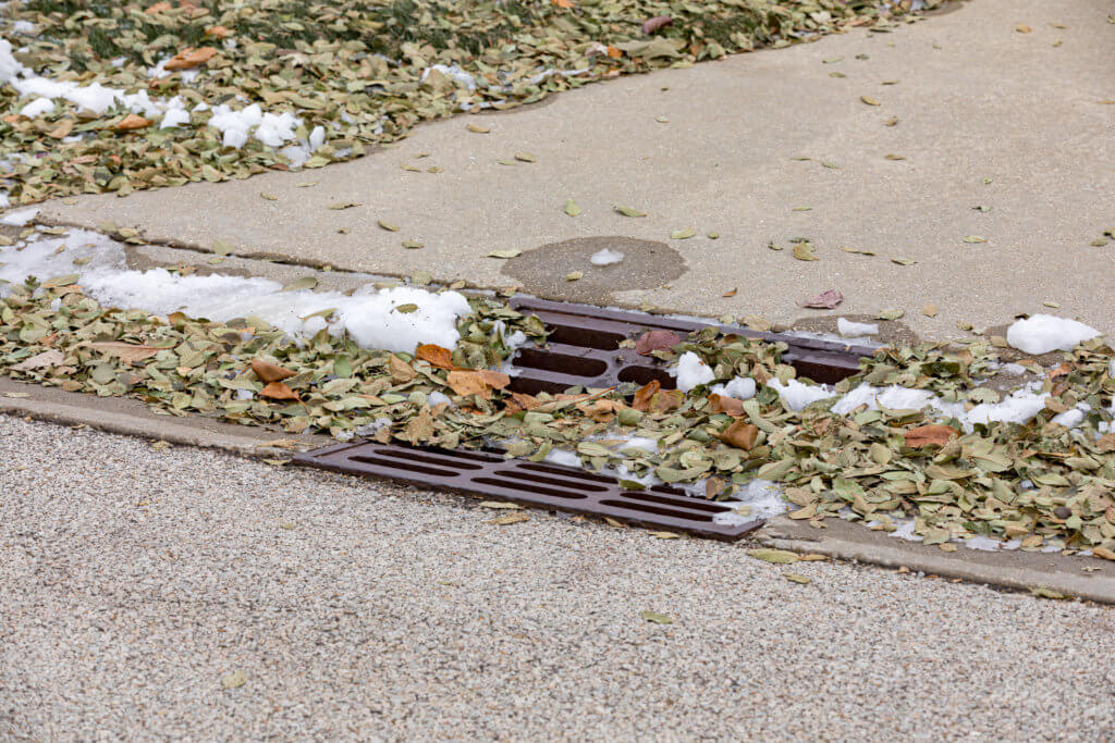 Storm sewer gutter drain grate in city street curb covered in melting snow and leaves after an autumn snowstorm